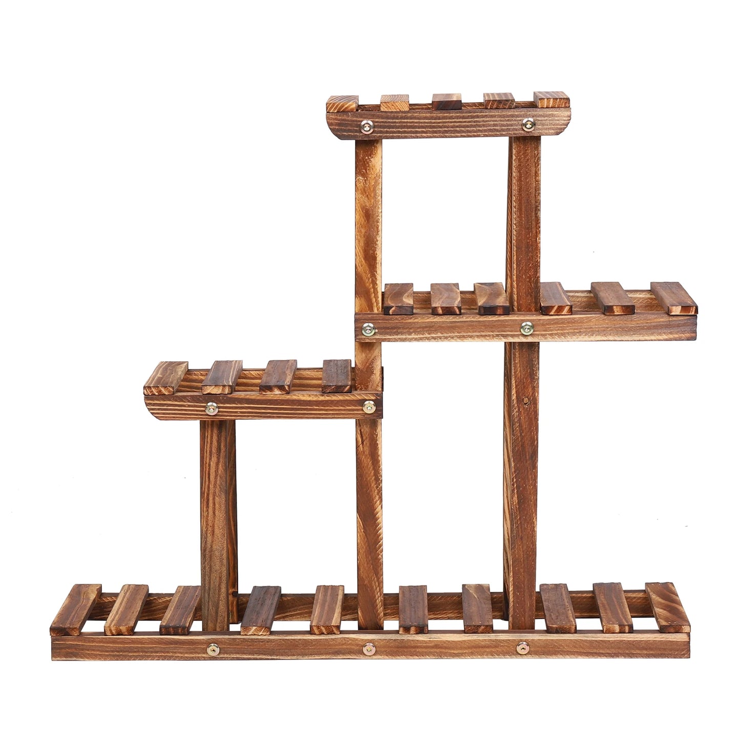 BINGOPAW Carbonized Wood Plant Stand 4-Tier Desktop Rack