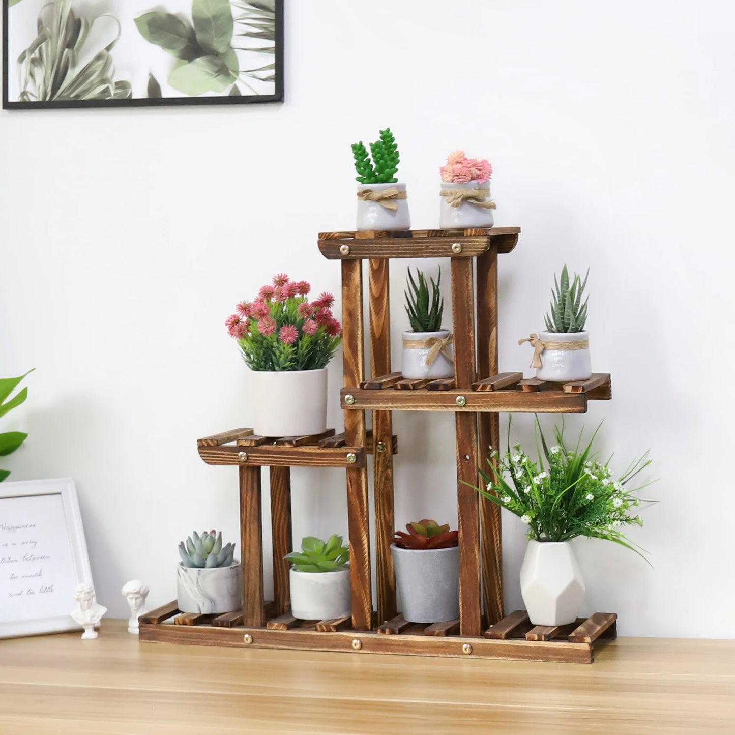 BINGOPAW Carbonized Wood Plant Stand 4-Tier Desktop Rack